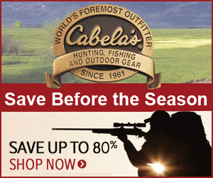 advertisement