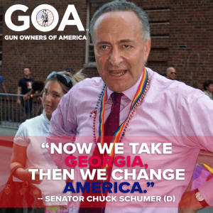 Chuck Schumer: "Now we take Georgia, then we change America"