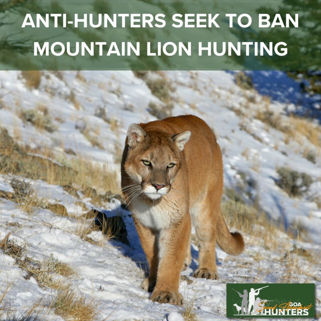 All American Hunters Should Be Warned By Colorado’s Proposed Ban On ...